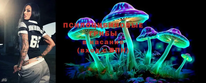 Галлюциногенные грибы Psilocybe  Лагань 